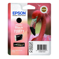 Epson T0871 Genuine Photo Black Ink Cartridge For Stylus Photo R1900 Ink Printer