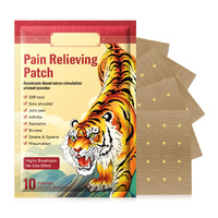 Lovelys Pain Relief Patches Muscle Knee Pain Relieving Joint Ache Sticker Herbal Pads Back Neck Plaster, 10pcs