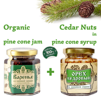 Set of Organic Pine Cone Jam 250g + Cedar Nuts in Pine Cone Syrup 220g Glass Jar by Sibirskiy Znakhar Natural Vegan Gift