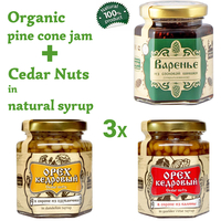 Set of Organic Pine Cone Jam 250g + Cedar Nuts in Guelder Rose and Dandelion Syrup 220g Glass Jar by Sibirskiy Znakhar Natural Vegan Gift