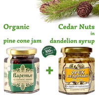 Set of Organic Pine Cone Jam 250g + Cedar Nuts in Dandelion Syrup 220g Glass Jar by Sibirskiy Znakhar Natural Vegan Gift