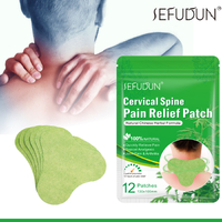 Sefudun Cervical Spine Pain Relief Patches Herbal Warming Plaster Back Neck Shoulder Joint Ache Sticker Wormwood Extract Pains (12 count)