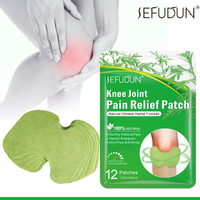 Sefudun Knee Pain Relief Patches Herbal Warming Plaster Joint Ache Sticker Wormwood Extract Pains (12 count)