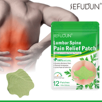 Sefudun Lumbar Spine Pain Relief Patch Back Herbal Fast Plaster Arthritis Sticker Body 12 count