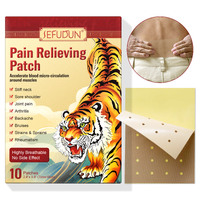 Sefudun Pain Relieving Patches Capsicum Plaster Hot Muscle Strain Pain Relief