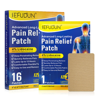 Pain Relief Patch 4% Lidocaine Herbal Fast Aches & Pains Balm Relieving Capsicum Plaster Joint Muscle Wormwood  Injury Heat Therapy  (16 count )