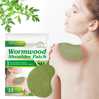 Sefudun Shoulder Pain Relief Patches Sticker Wormwood Extract Neck Ache Plasters Natural, 12 pcs