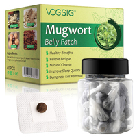 Mugwort Belly Patch Natural Herbal Extract for Belly Slimming Detox Sticker