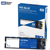 1TB M.2 2280 SSD WD Blue SATA III Internal Solid State Drive Western Digital WDS100T2B0B