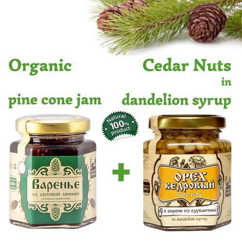 Set of Organic Pine Cone Jam 250g + Cedar Nuts in Dandelion Syrup 220g Glass Jar by Sibirskiy Znakhar Natural Vegan Gift