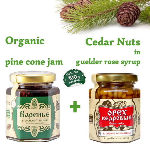 Set of Organic Pine Cone Jam 250g + Cedar Nuts in Guelder Rose Syrup 220g Glass Jar by Sibirskiy Znakhar Natural Vegan Gift