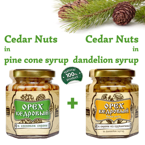 Set of Organic Cedar Nuts in Pine Cone Syrup + Dandelion Syrup by Sibirskiy Znakhar 220g 200ml Glass Jar Natural Vegan Gift