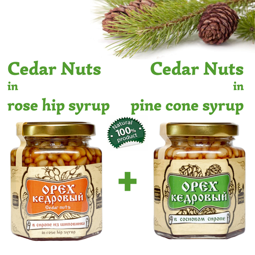 Set of Organic Cedar Nuts in Rose Hip Syrup + Pine Cone Syrup by Sibirskiy Znakhar 220g 200ml Glass Jar Natural Vegan Gift