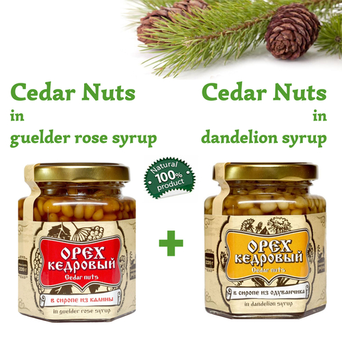Set of Organic Cedar Nuts in Guelder Rose Syrup + Dandelion Syrup by Sibirskiy Znakhar 220g 200ml Glass Jar Natural Vegan Gift