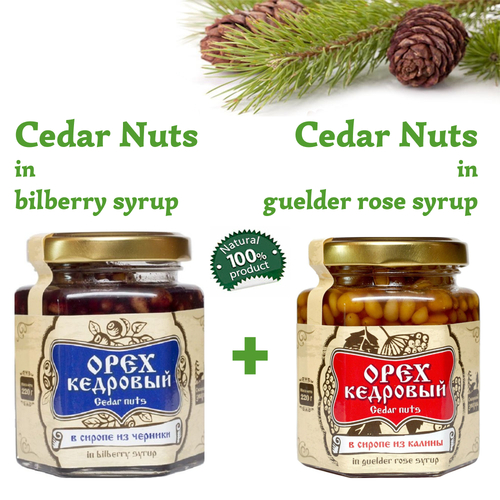 Set of Organic Cedar Nuts in Blueberry Syrup + Guelder Rose Syrup by Sibirskiy Znakhar 220g 200ml Glass Jar Natural Vegan Gift